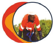 Formation et sécurité